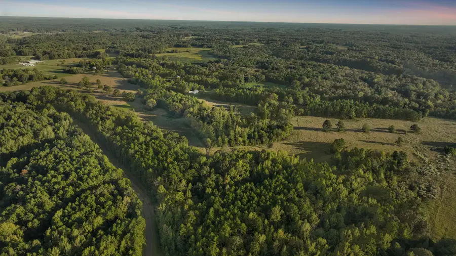 1368 Golf Dr, Saulsbury, TN 38067 - Image #3