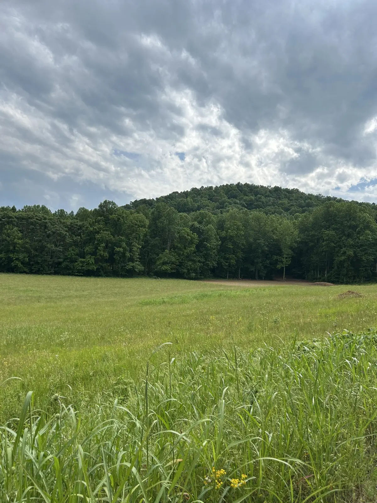 305 H&h Road, Sparta, TN 38583 - #1