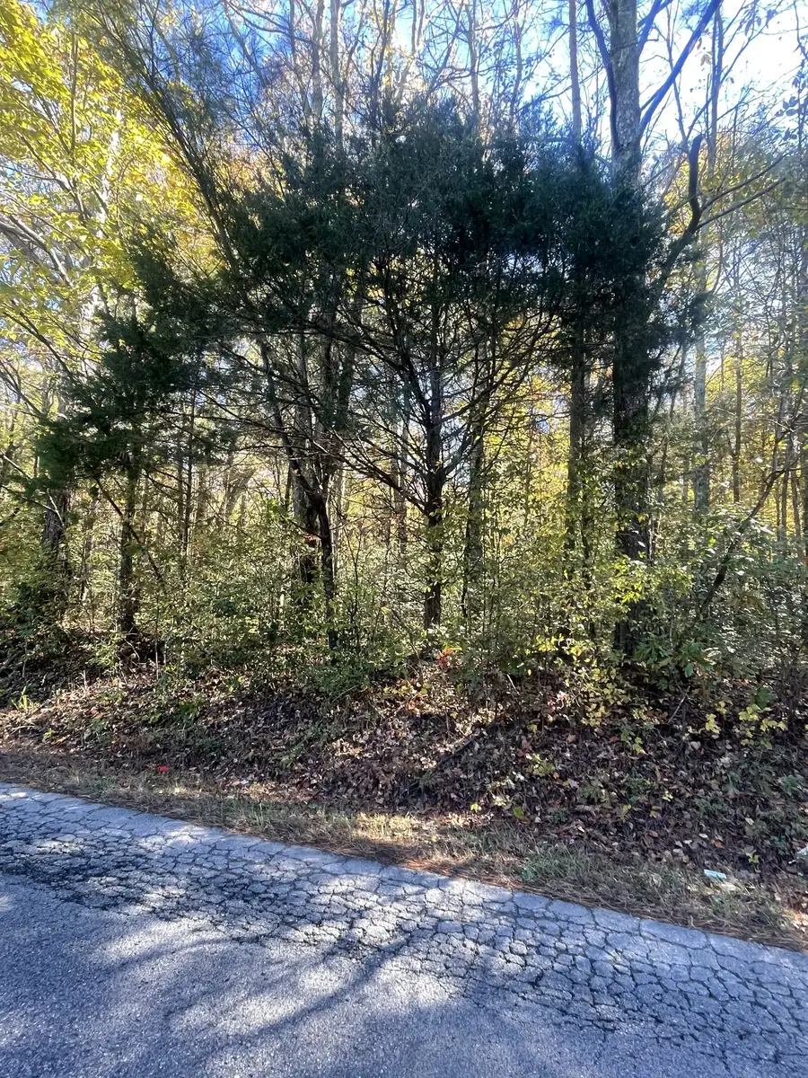 0 Hayes Rd S, Lawrenceburg, TN 38464 - Image #3