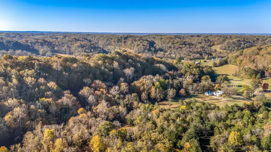 4923 Blue Creek Rd, Lynnville, TN 38472 - Image #3