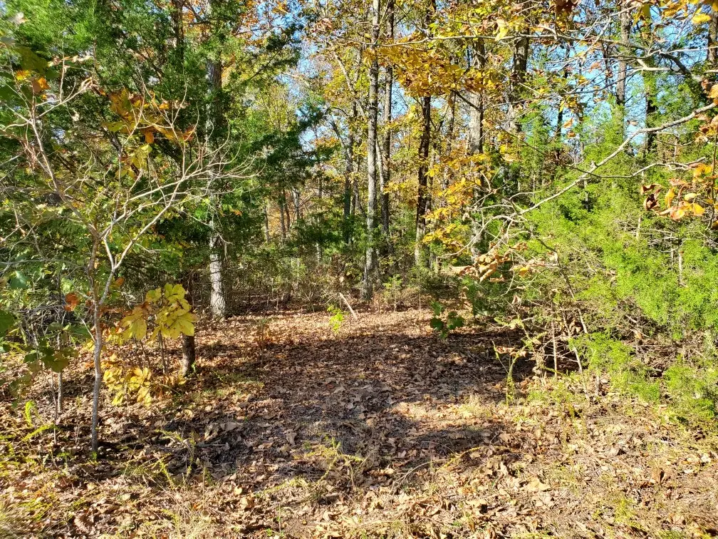 49 Connie Lynn Dr, Camden, TN 38320 - Image #1