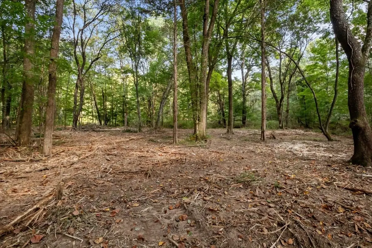 4407 Highway 231, Mc Ewen, TN 37101 - Image #1