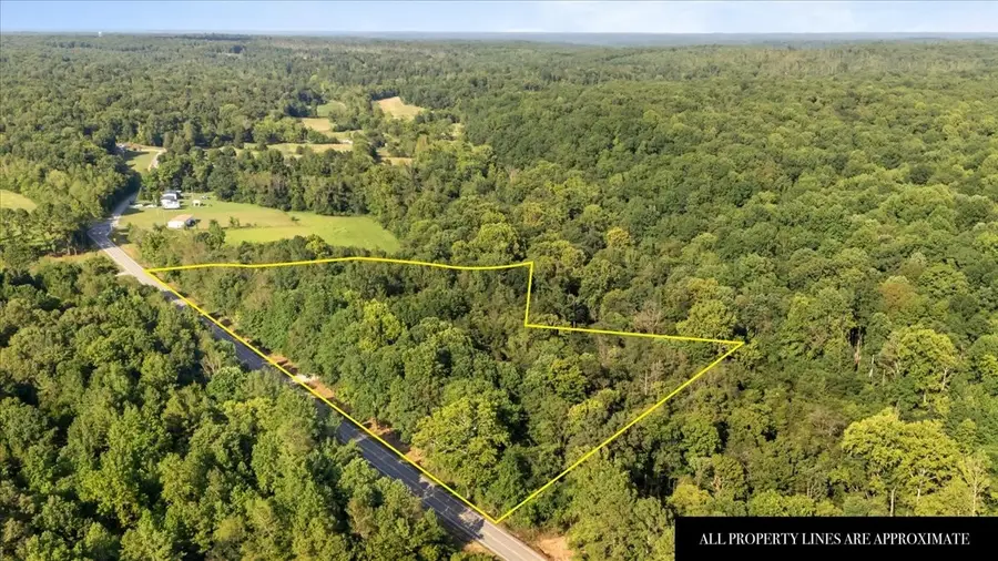 4407 Highway 231, Mc Ewen, TN 37101 - Image #3