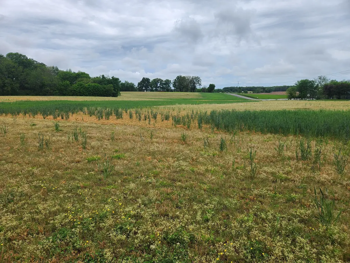 3249 Fredonia Rd, Manchester, TN 37355 - Image #1