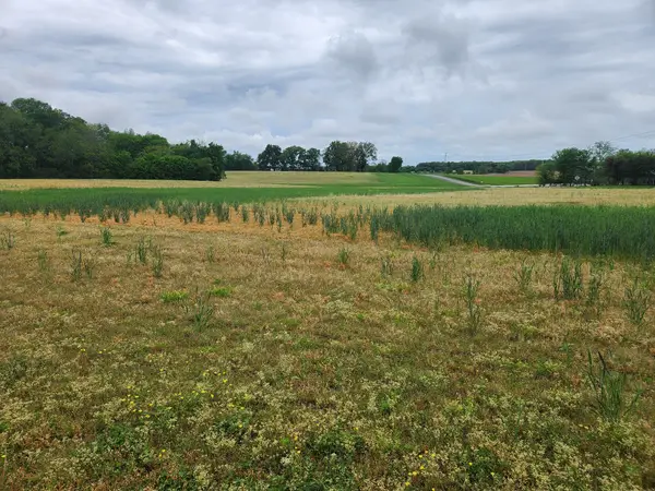 3249 Fredonia Rd, Manchester, TN 37355