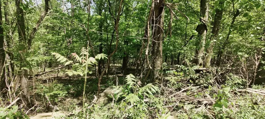 0 Coburntown (lot 11) Road, South Pittsburg, TN 37380 - Image #3