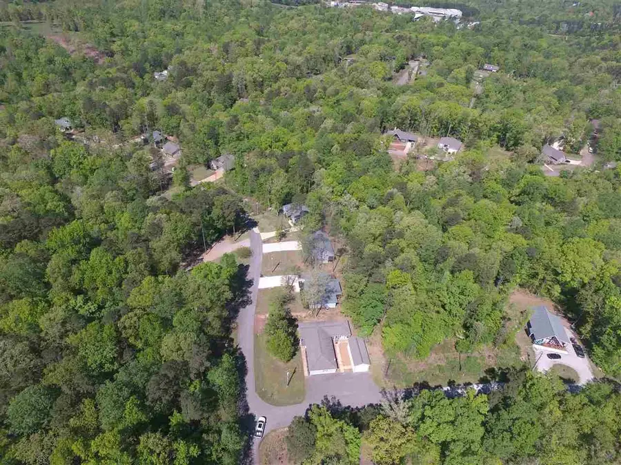 0 Shannon Ln, Counce, TN 38326 - Image #2