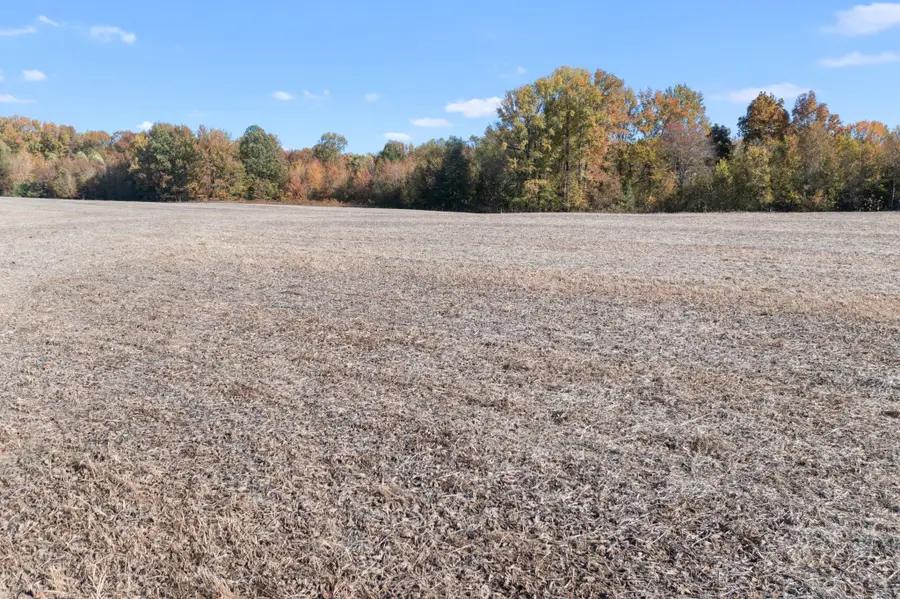 0 Hwy 431 N, Springfield, TN 37172 - Image #2