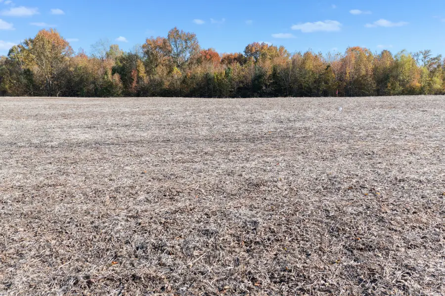 0 Hwy 431 N, Springfield, TN 37172 - Image #3