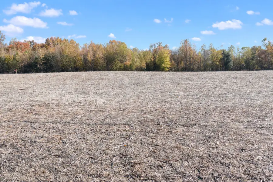 0 Hwy 431 N, Springfield, TN 37172 - Image #2