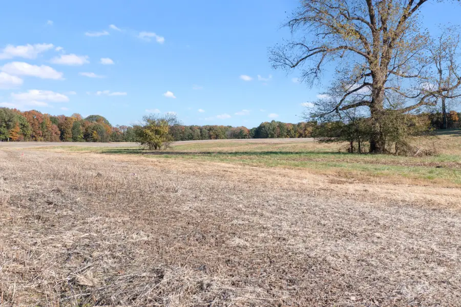 0 Hwy 431 N, Springfield, TN 37172 - Image #3