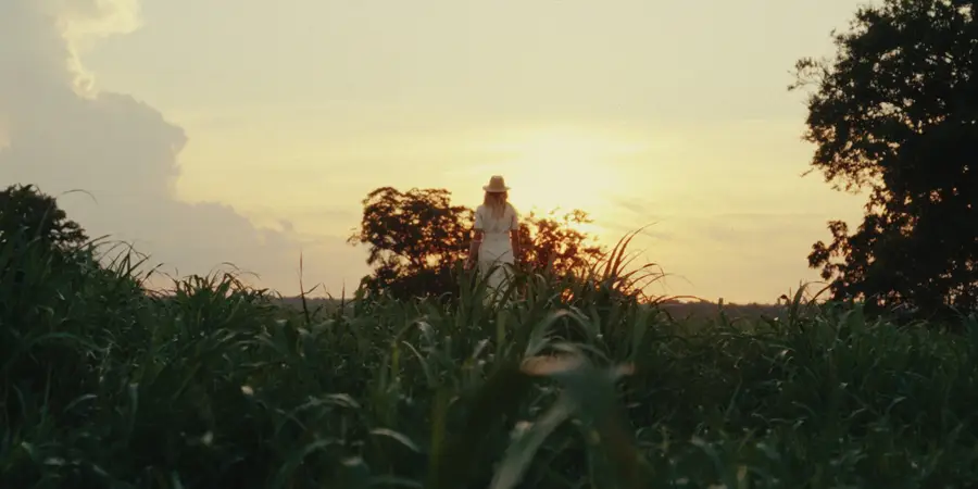 1914 Thompsons Station Road W, Thompsons Station, TN 37179 - Image #3