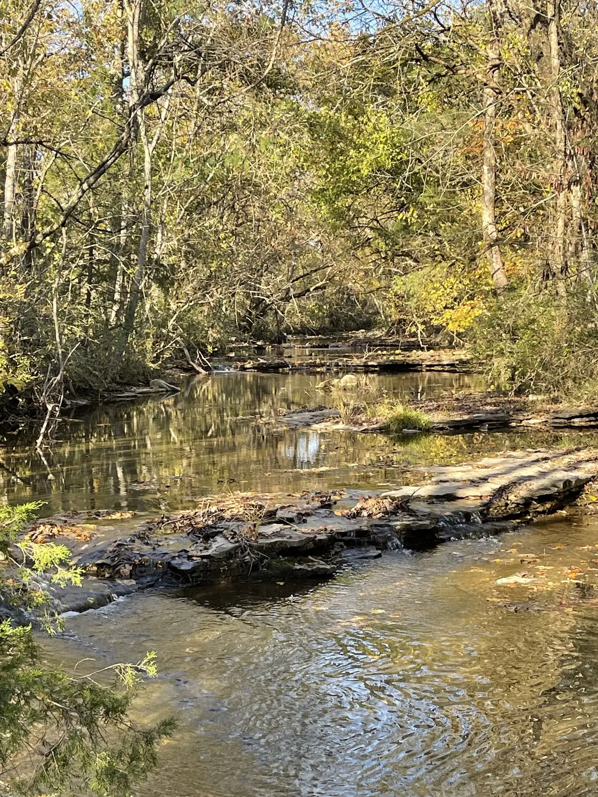 0 Locke Creek Rd, Readyville, TN 37149 - Image #1