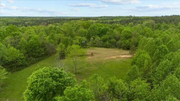 0 Sykes Branch Rd, Waverly, TN 37185