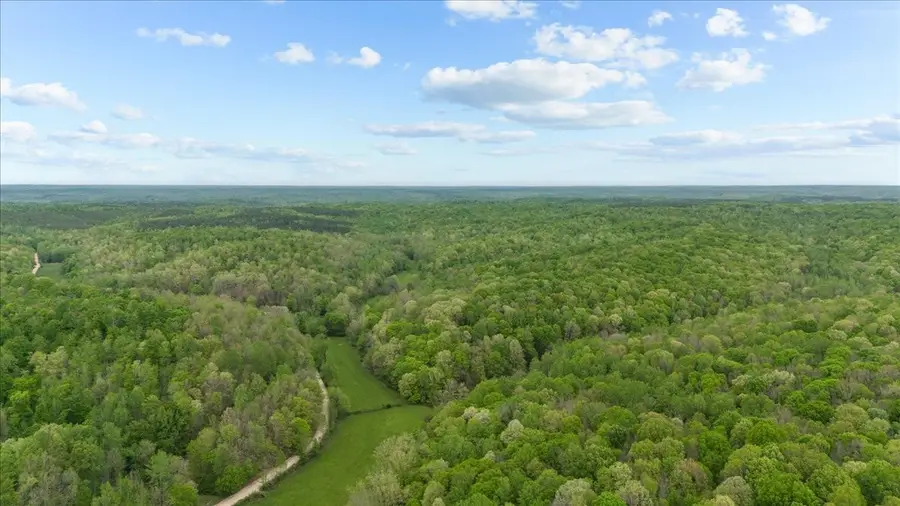 0 Sykes Branch Rd, Waverly, TN 37185 - Image #2