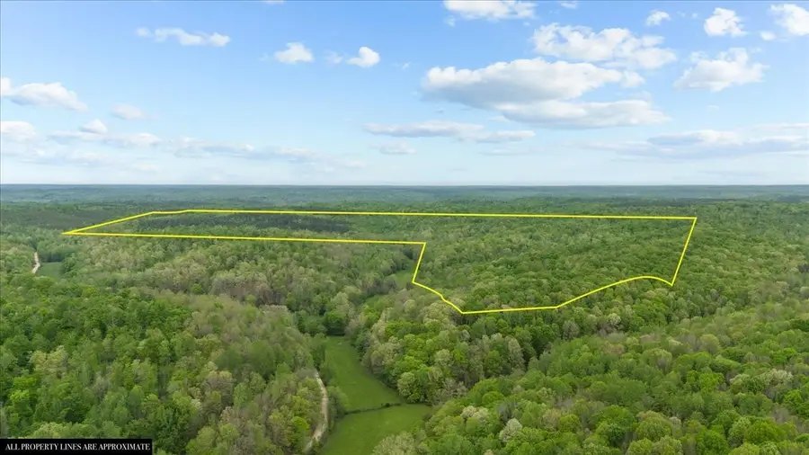 0 Sykes Branch Rd, Waverly, TN 37185 - Image #3