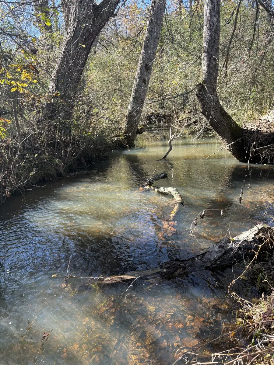 0 Petty Road, Sparta, TN 38583 - Image #3