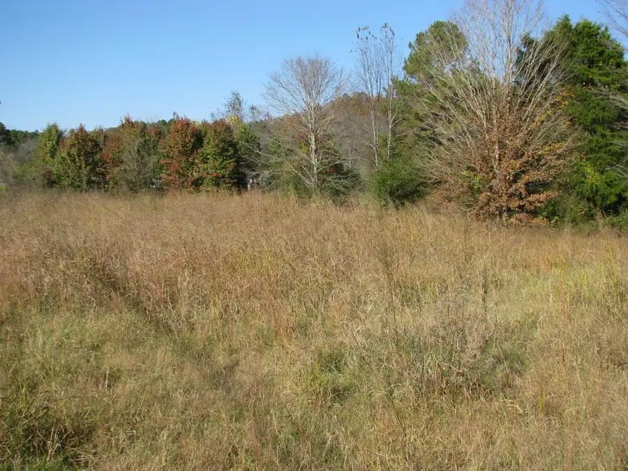 199 Spann Loop, Waverly, TN 37185 - Image #2