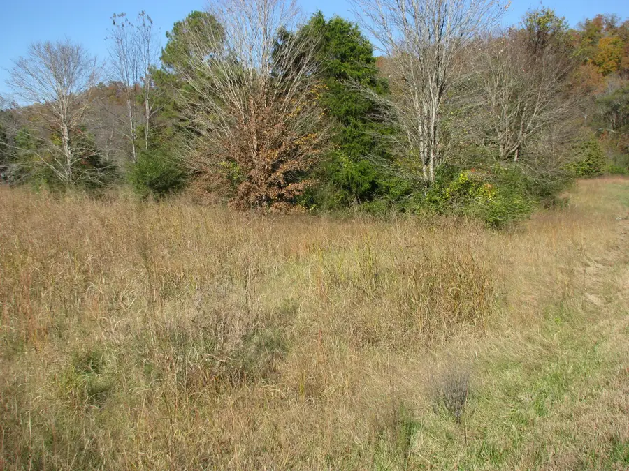 199 Spann Loop, Waverly, TN 37185 - Image #3