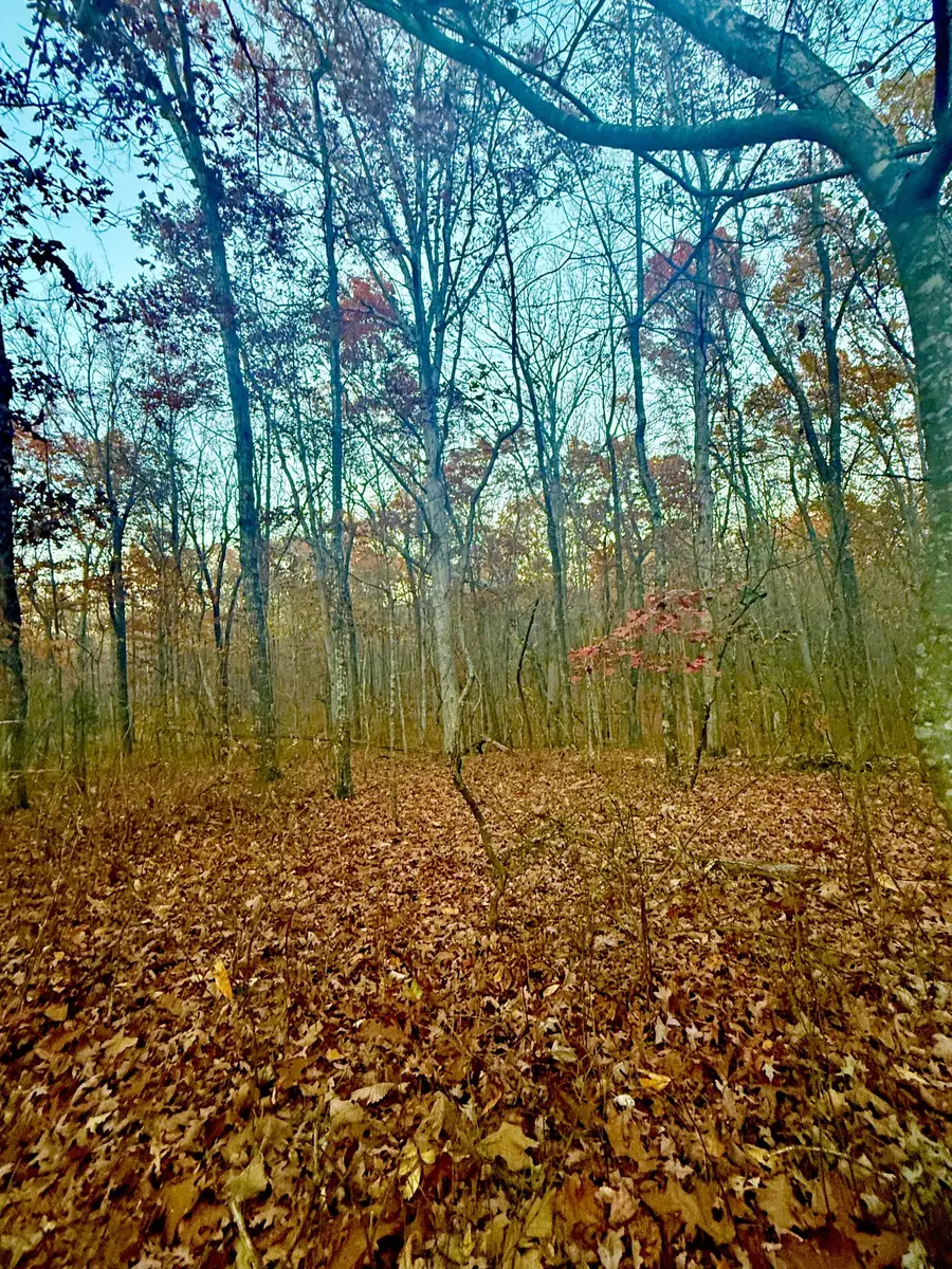 0 Deep Woods Rd, Sewanee, TN 37375 - Image #3