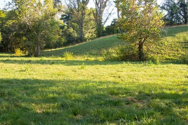 6914 Pulltight Hill Rd, College Grove, TN 37046 - Image #1