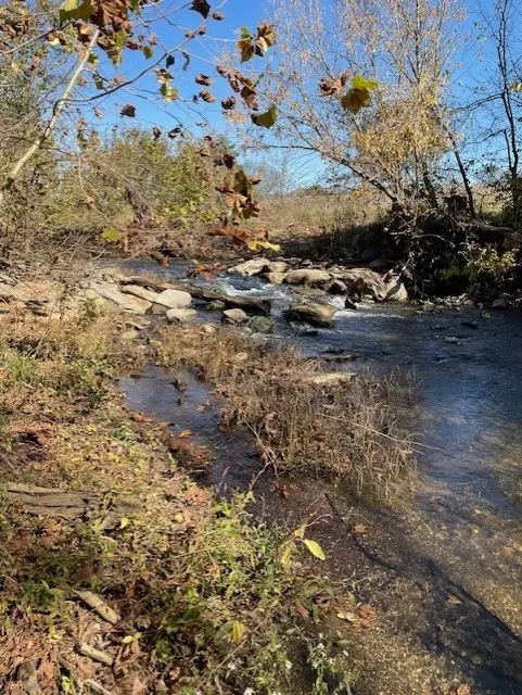 0 Old Nashville Dirt Rd, Shelbyville, TN 37160 - Image #3