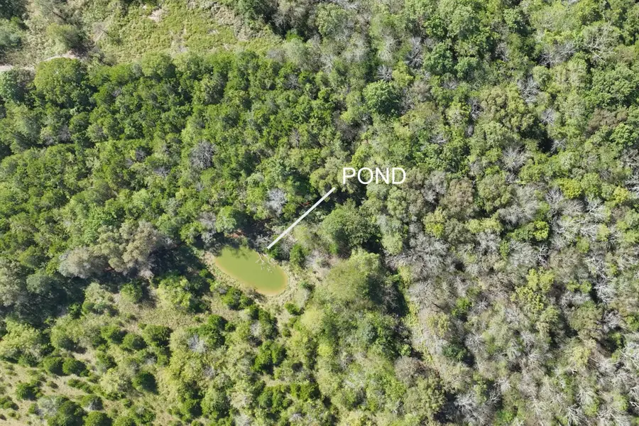 9919 Maupin Rd, Brentwood, TN 37027 - Image #3