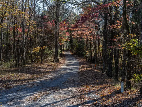 0 Adcock Rd, Ashland City, TN 37015