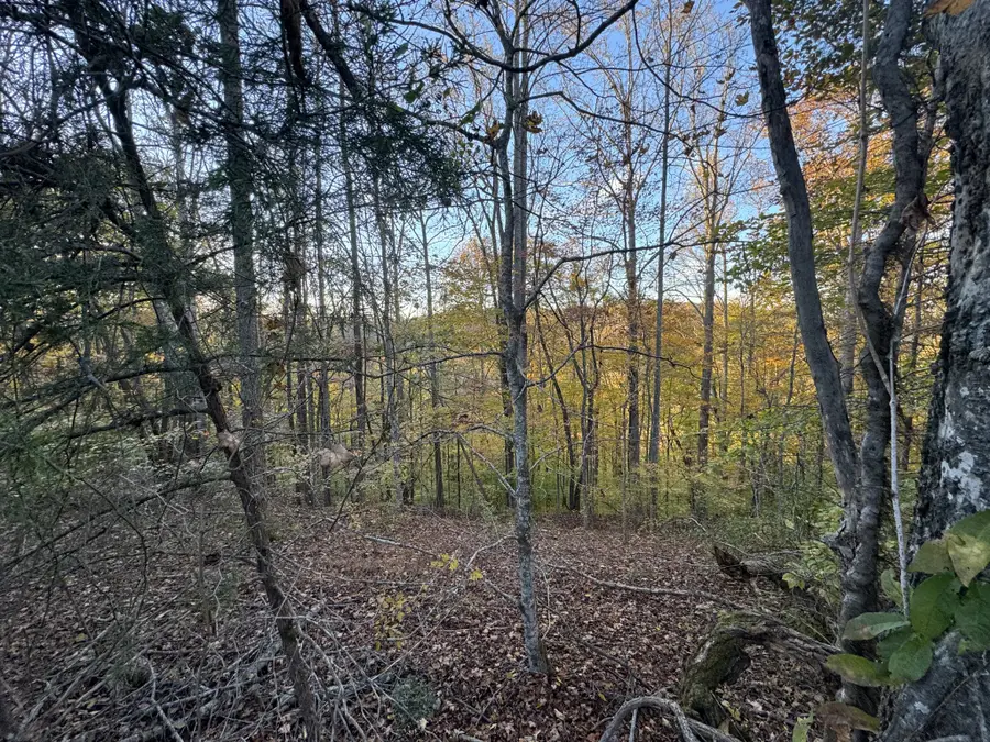 0 Puckett Point Rd, Smithville, TN 37166 - Image #2