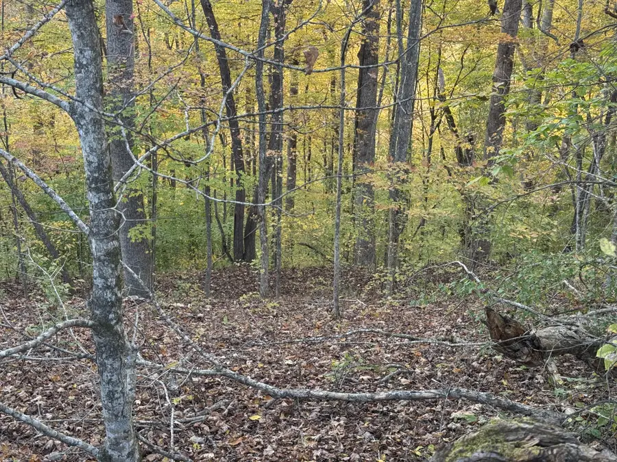 0 Puckett Point Rd, Smithville, TN 37166 - Image #3