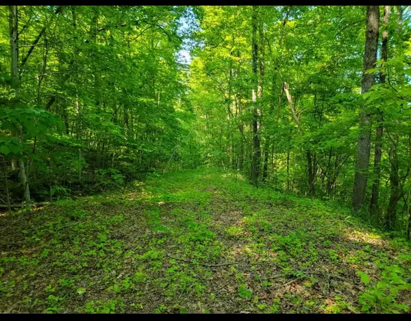 0 Shetland Trace, Sparta, TN 38583