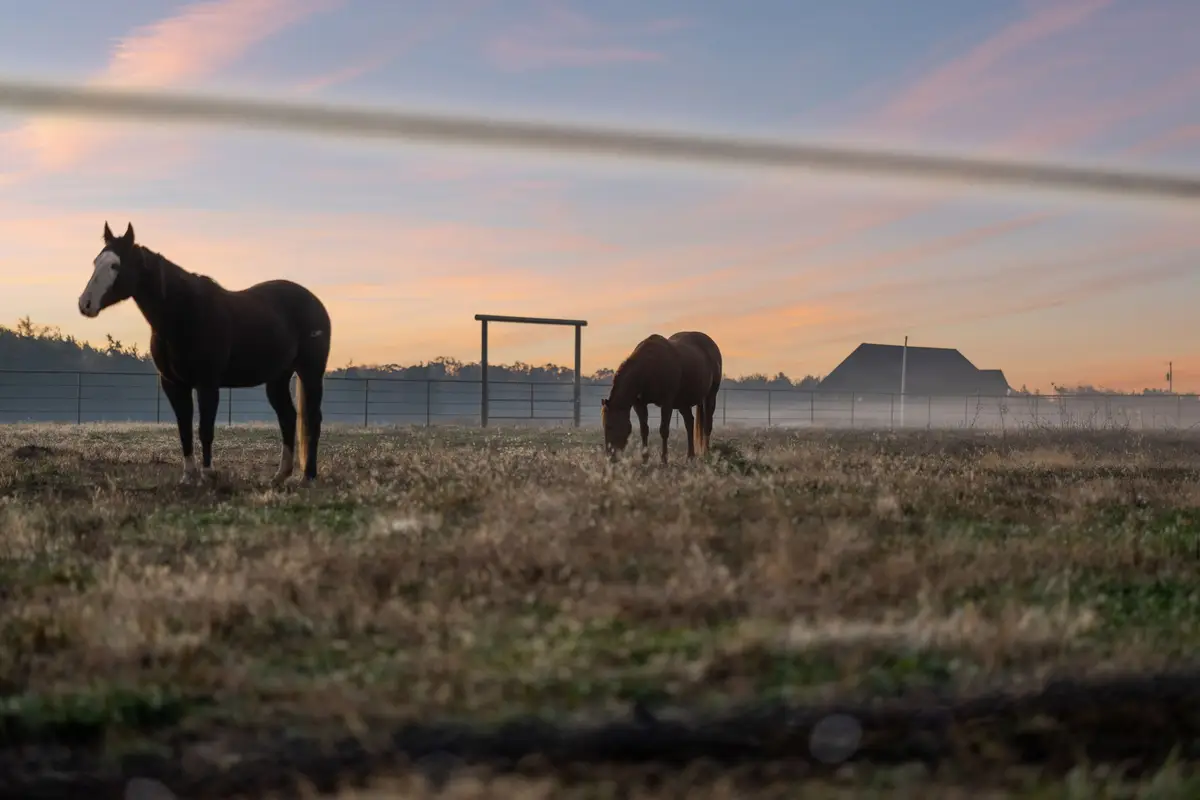 201 Lamb Rd, Rockvale, TN 37153 - Image #1