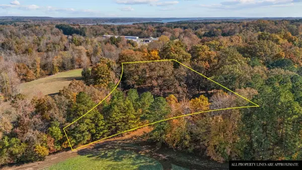 12225 Off Highway 79 N, Buchanan, TN 38222