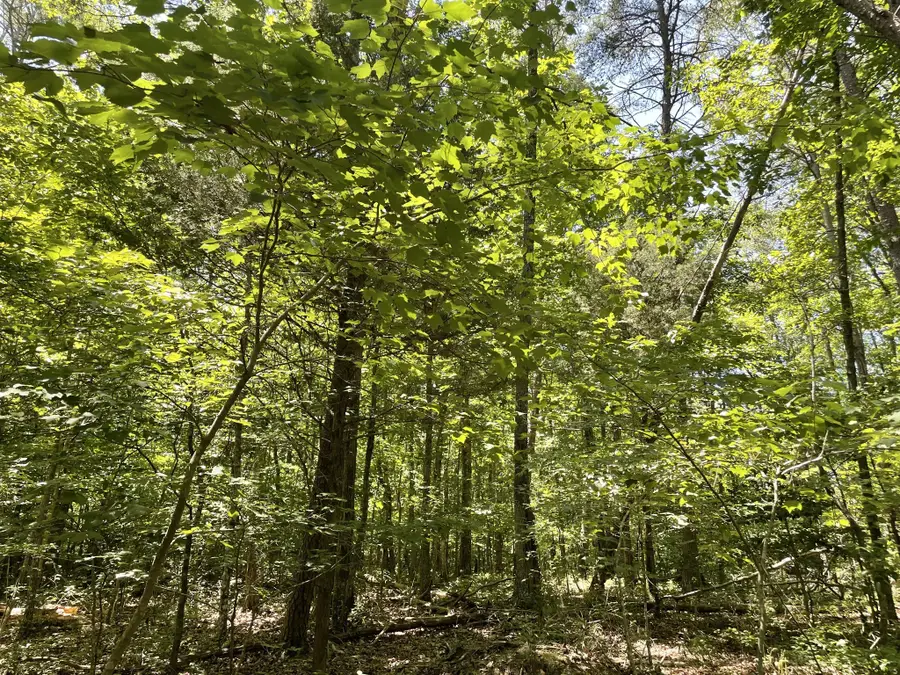 0 Tate Trl, Sewanee, TN 37375 - Image #2