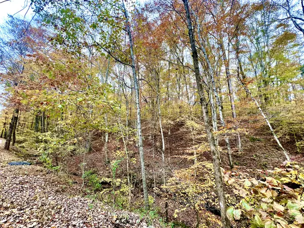 0 West Garretts Creek Rd, Westmoreland, TN 37186