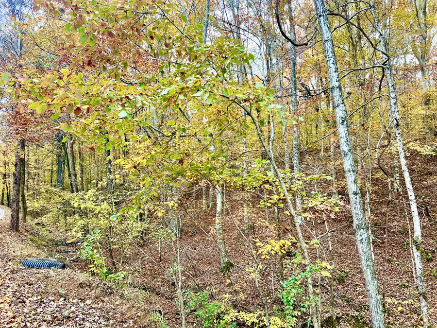 0 West Garretts Creek Rd, Westmoreland, TN 37186 - Image #2