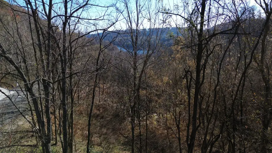 85 Blackberry Ridge Way, Smithville, TN 37166 - Image #2