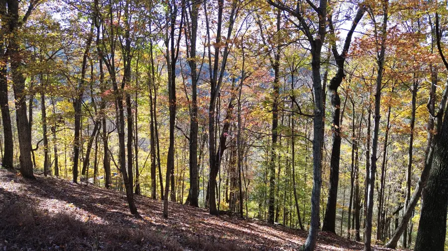 0 Savannah Dr, Smithville, TN 37166 - Image #3