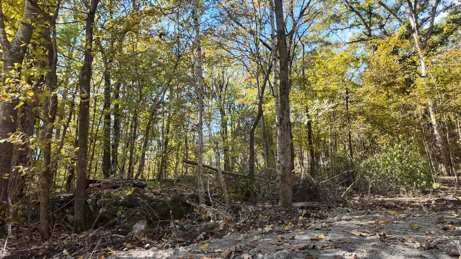 0 Rock Springs Rd, Columbia, TN 38401 - Image #2