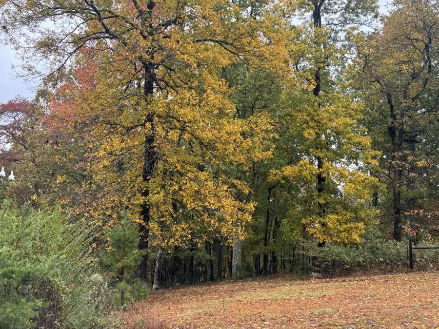 188 Hitchcock Road, Dunlap, TN 37327 - Image #3