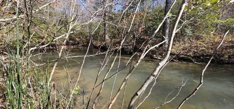 0 Woods Rd, Dunlap, TN 37327 - Image #2