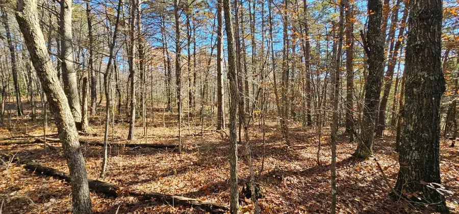 0 Woods Rd, Dunlap, TN 37327 - Image #3