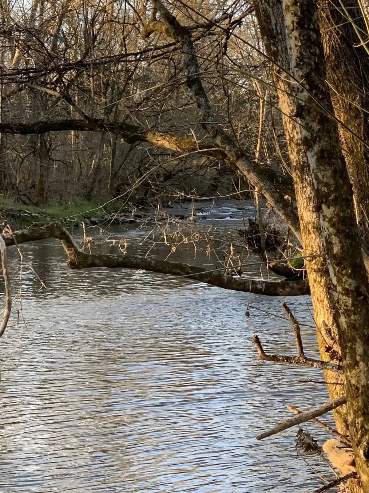 0 Highway 431 S, Columbia, TN 38401 - Image #1