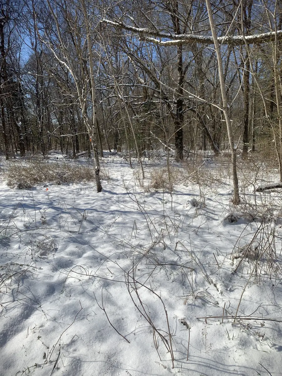 0 Highway 431 S, Columbia, TN 38401 - Image #2