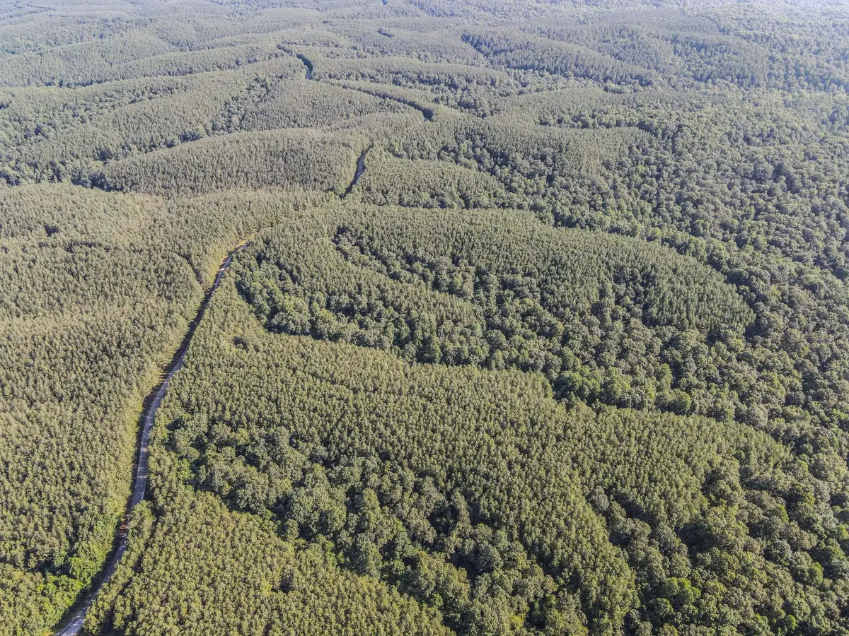 0 Brush Creek Rd, Hohenwald, TN 38462 - Image #1