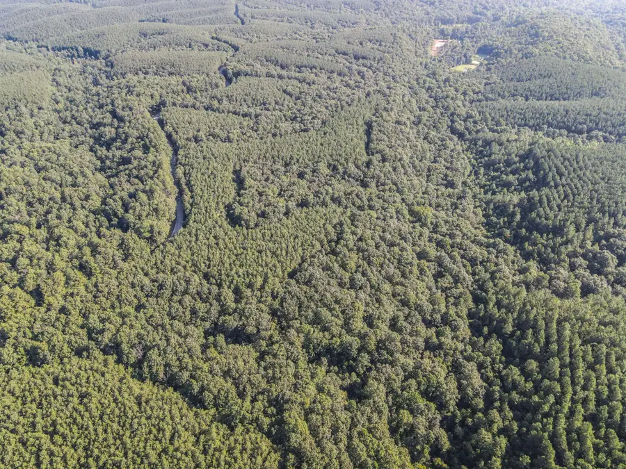 0 Brush Creek Rd, Hohenwald, TN 38462 - Image #3