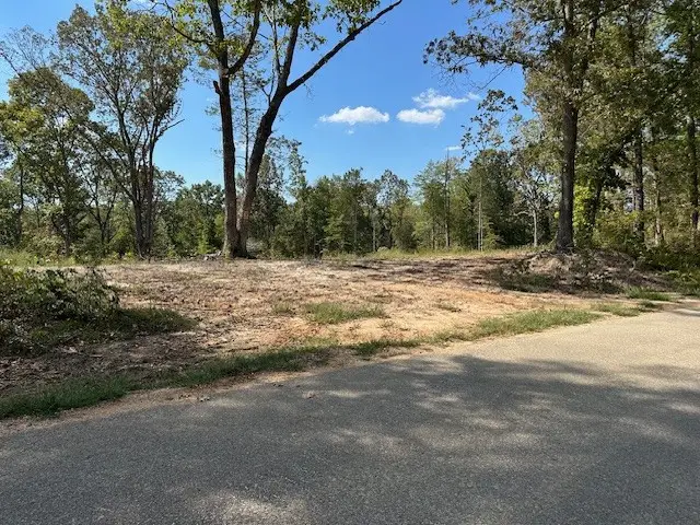 1 Firetower Rd, Camden, TN 38320 - Image #2