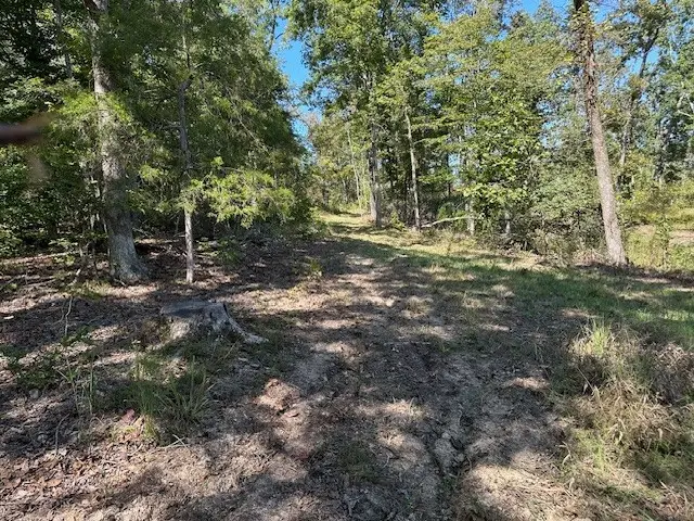 1 Firetower Rd, Camden, TN 38320 - Image #3