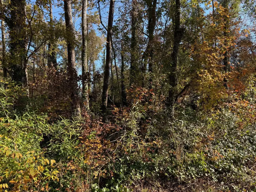 0 Apache Road, Jackson, GA 30233 - Image #3