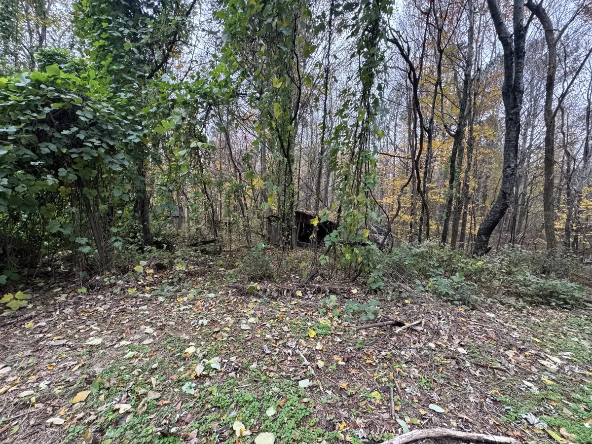 233 Poston Chapel Ln, Gainesboro, TN 38562 - Image #1